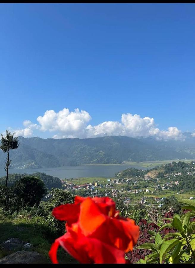 Into The Wild Pokhara Villa Kāskī Eksteriør billede