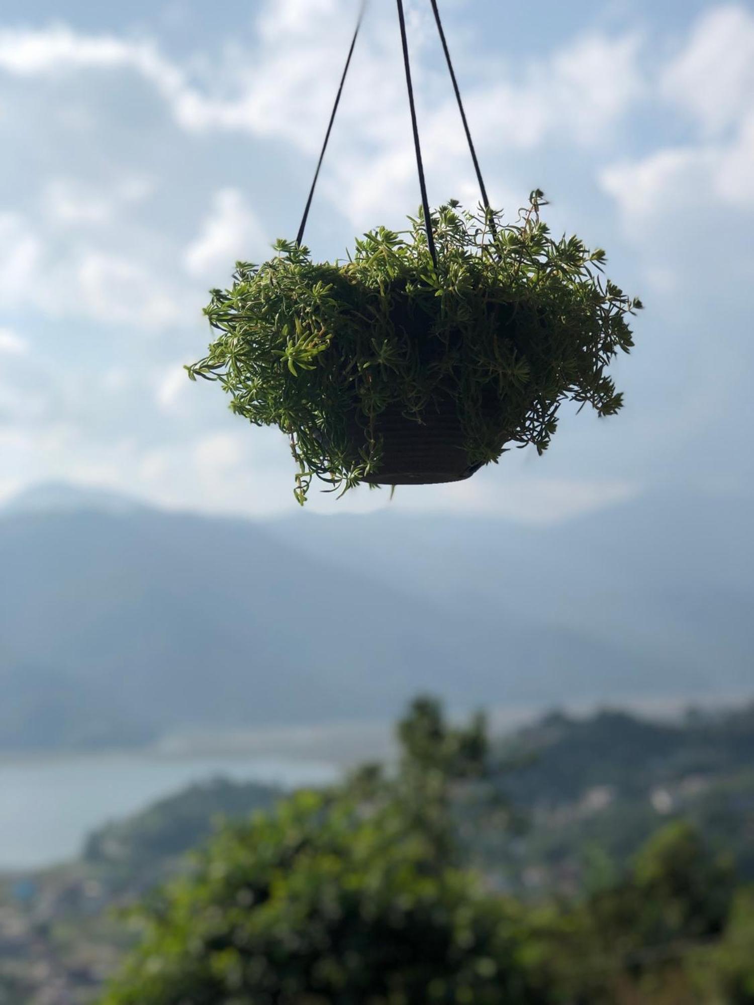 Into The Wild Pokhara Villa Kāskī Eksteriør billede